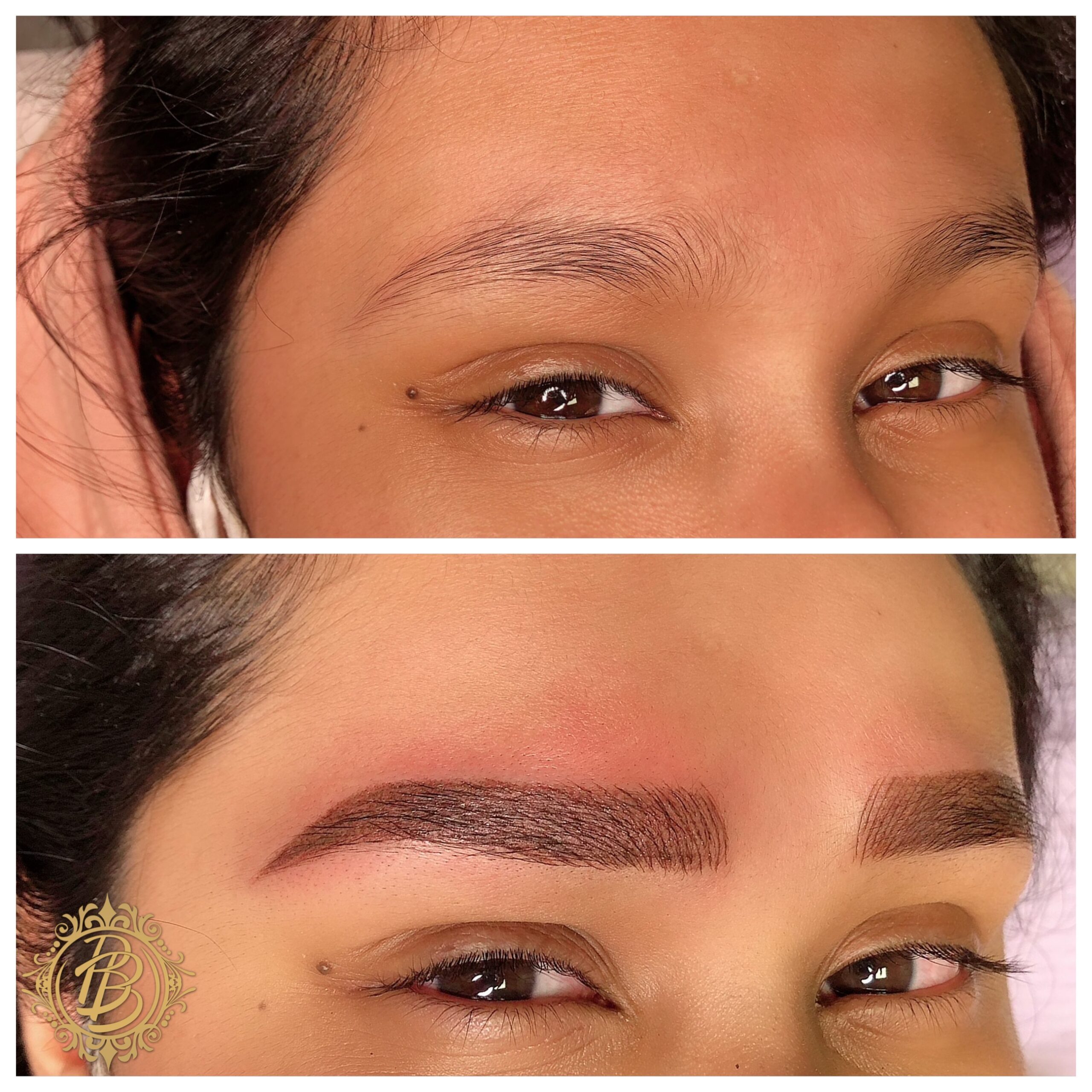 Microblading, Powder Brows, Combo Brows – Brows and Beauty